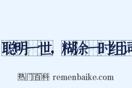 聪明一世，糊涂一时组词是什么意思的图片